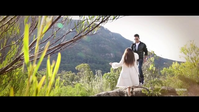 New Punjabi Songs 2016 Taare Lyrical Video Naseebo Lal Latest Punjabi Songs