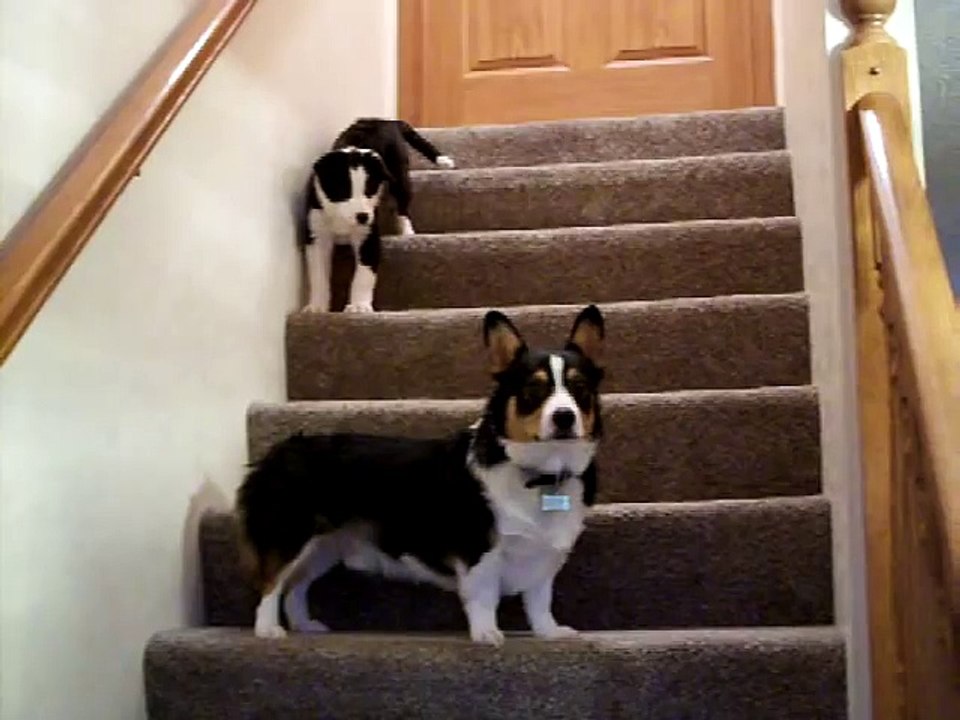 Charlie helps Jessie down the scary stairs