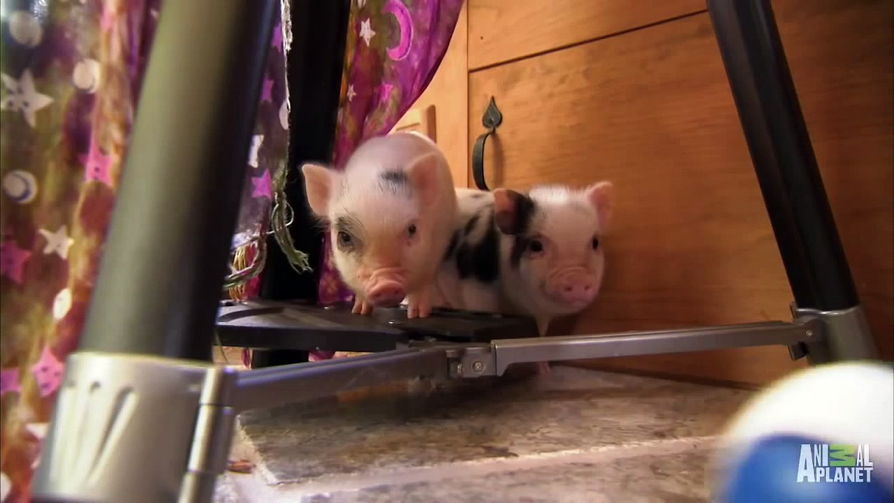 Special Friends  Too Cute!