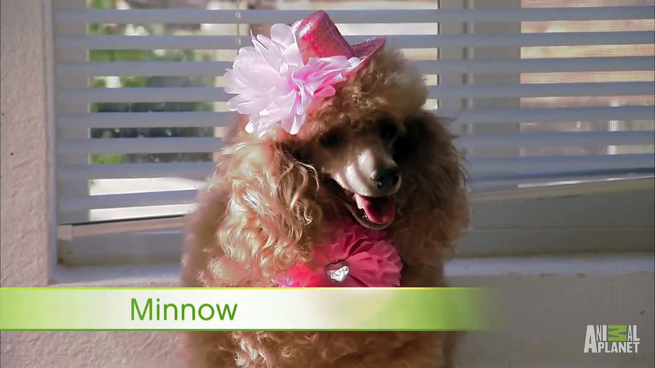 The Cutest Six-Pack You'll Ever Meet  Too Cute!