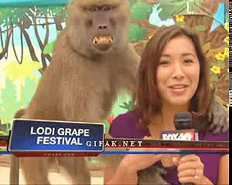 Best of Funny Video Clips ;-) Try not to Laugh !!! Funny Pranks Funny Fails Funny Jokes