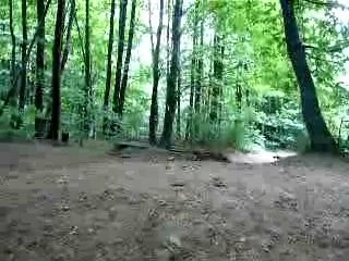 Sortie Cormeilles en parisis : 13