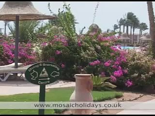 Egypt Holidays Radisson SAS Hotel Sharm, Egypt Holiday