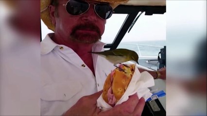 Partager son sandwich avec un oiseau gourmand mais pas peureux!