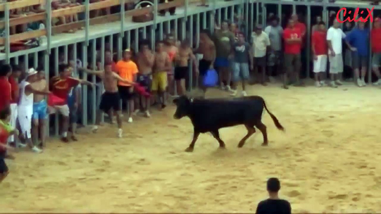 Родео 2013
