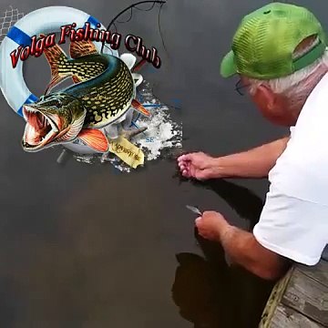 Ловкий рыбак поймал рыбу голыми руками