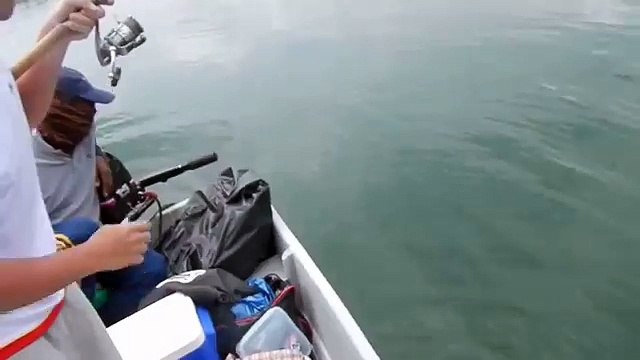 ПОЙМАЛ РЫБУ НА СПИННИНГ