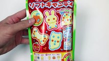 Oekaki Soft Candy Fun & Easy DIY Japanese Candy Making Kit Bunny Kitty & Fish Shapes!