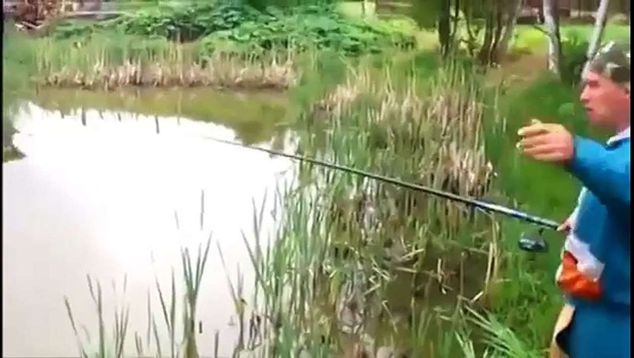 Рыбак поймал рыбу, а кот подпрыгнул и вырвал добычу прямо с удочки! Прикол юмор ржач смешное видео