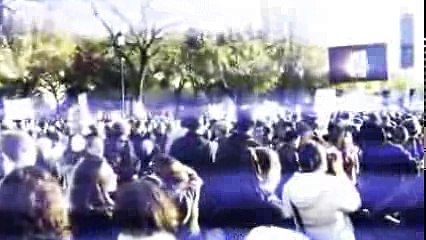 Breaking News! Labs Mix Human and Dog DNA