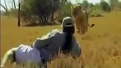 رجل  تحدى أسد ووقف وجه لوجه شاهد النتيجة