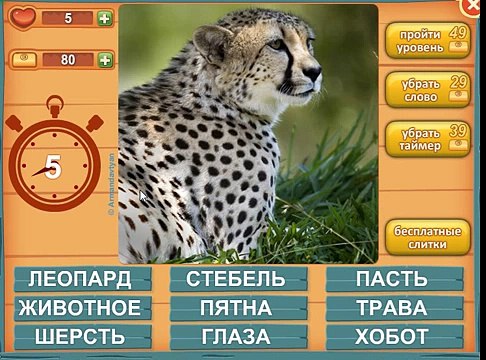 Ответы на игру Лишнее слово в одноклассниках на 1, 2, 3, 4, 5 уровень