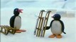 Pingu Tobogganing Pingu Official Channel