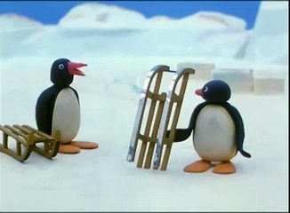 Pingu Tobogganing Pingu Official Channel