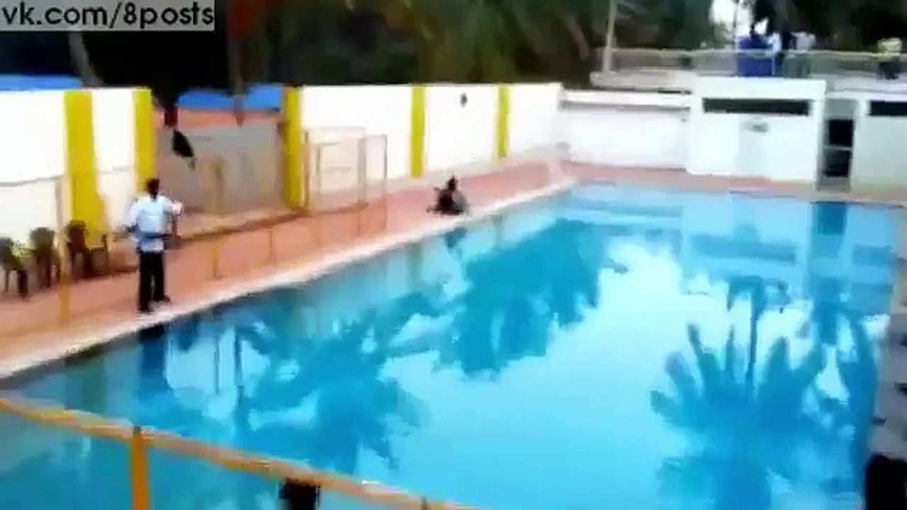 Leopard on the loose injures six while prowling around school India 2016 (Funny Videos 720p)