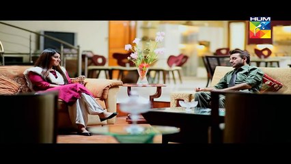 Tere Baghair Episode 15 Full HUM TV Drama 21 Jan 2015