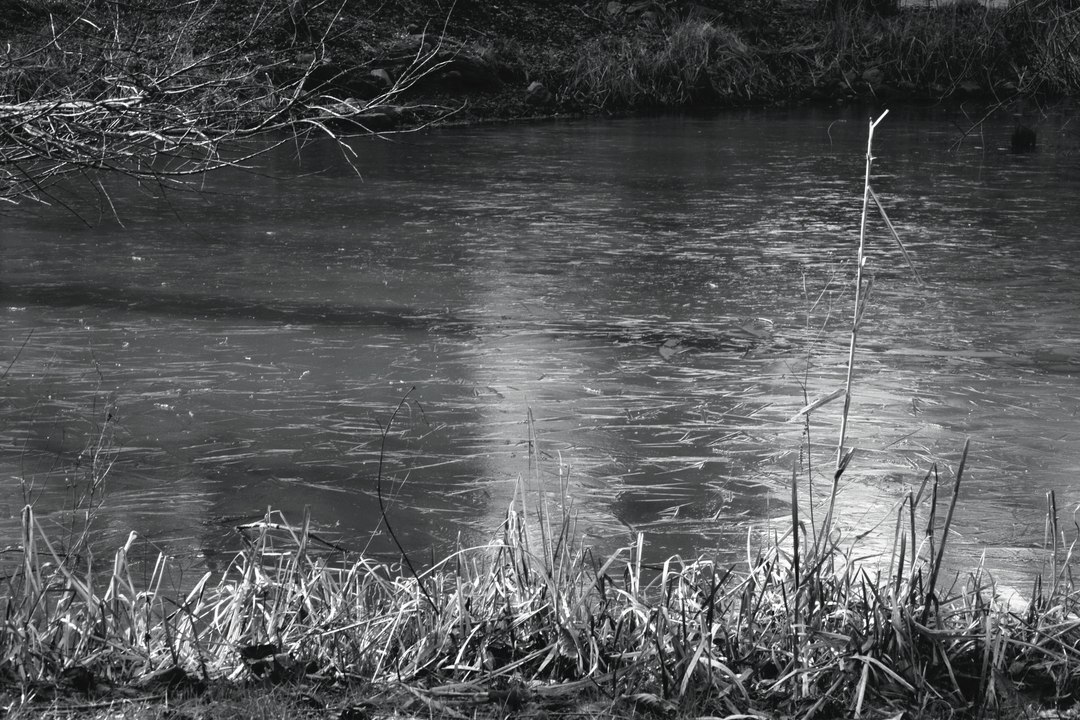 Dreaming Fish in a frozen Pond