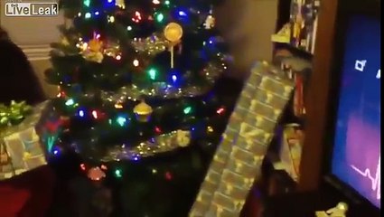 urod ru Угадали с подарком Развлекательно публицистический портал Urod ru