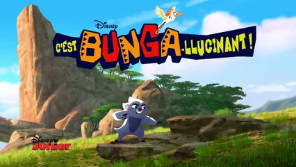 Cest Bungallucinant ! - Le Zèbre & La Girafe