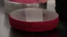 amazing video 2016,amazing video,amazing clip