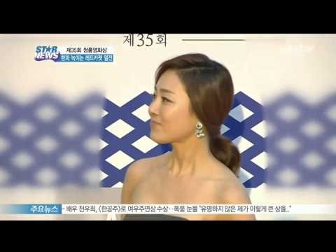 [Y-STAR] The 35th Blue Dragon Award Red carpet ('추위야 가라~!', 한파 녹이는 스타들의 레드카펫 열전)