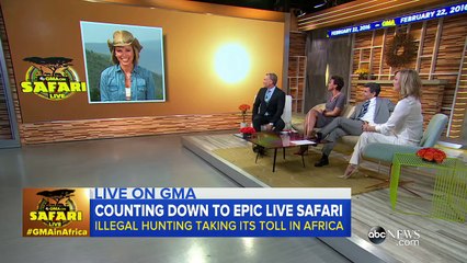 GMA on Safari Showcases Majestic Animals in Their Habitat