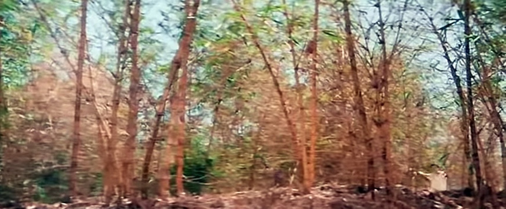 Bollywood song 'Tujhko Na Dekhun' - 'Jaanwar'