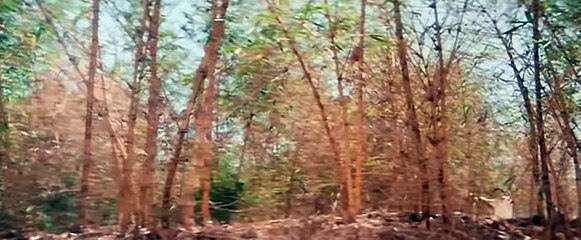 Bollywood song 'Tujhko Na Dekhun' - 'Jaanwar'