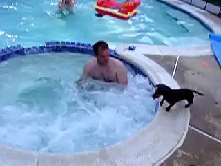 Mini dachshund LOVES hot tub!