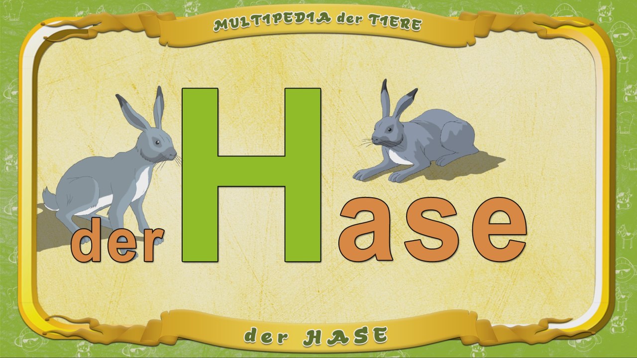 Multipedia der Tiere. Buchstabe H - der Hase