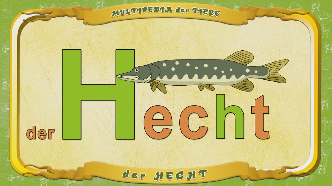 Multipedia der Tiere. Buchstabe H - der Hecht