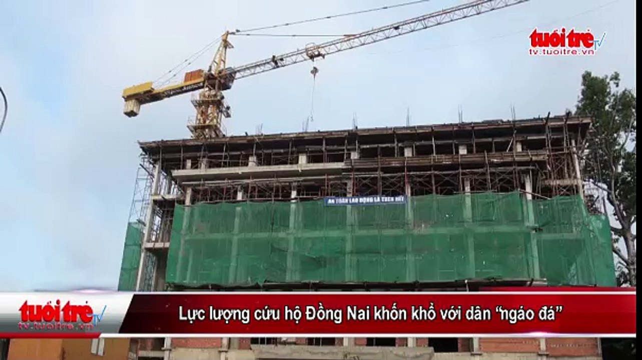 Lực lượng cứu hộ Đồng Nai khốn khổ với dân “ngáo đá”