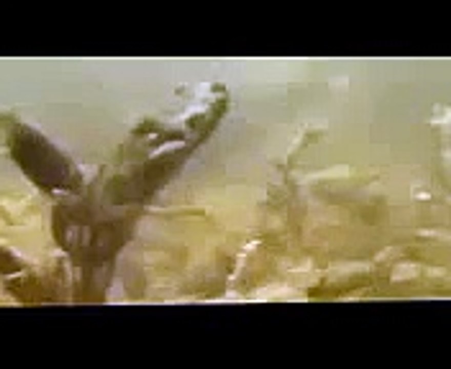 Мир подводной охоты подводный дайвинг рыбалка весной 2015