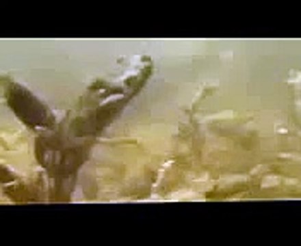 Мир подводной охоты подводный дайвинг рыбалка весной 2015