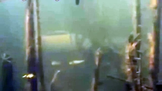 Мир подводной охоты подводный дайвинг рыбалка весной 2015