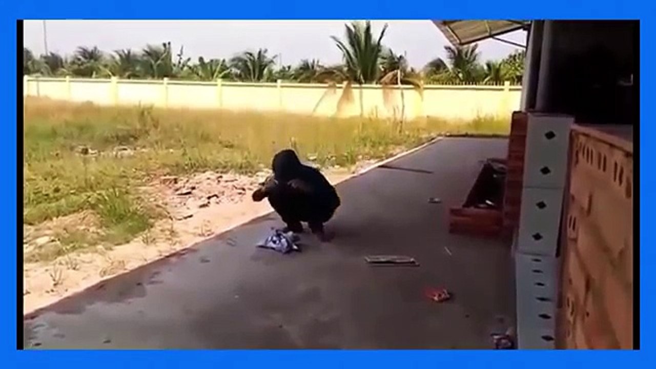 Best funny videos 2016 in the world top 10 (Funny Videos 720p)