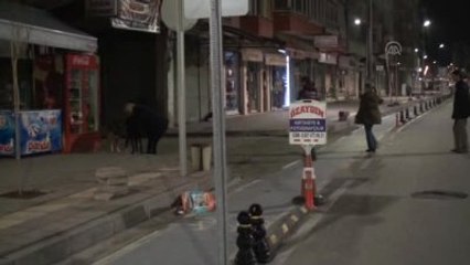 18 Sokak Köpeği Telef Oldu