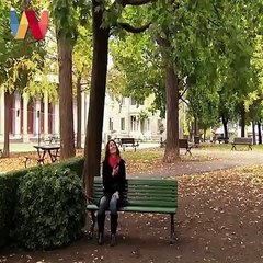 Φαρσα με μέλισσες. Πολύ γέλιο!!!