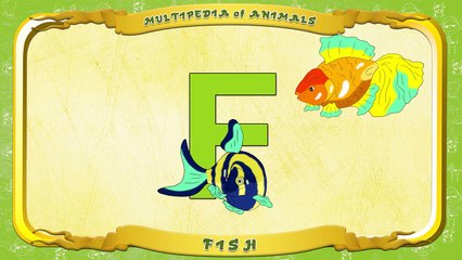 Multipedia of Animals. Letter F Fish