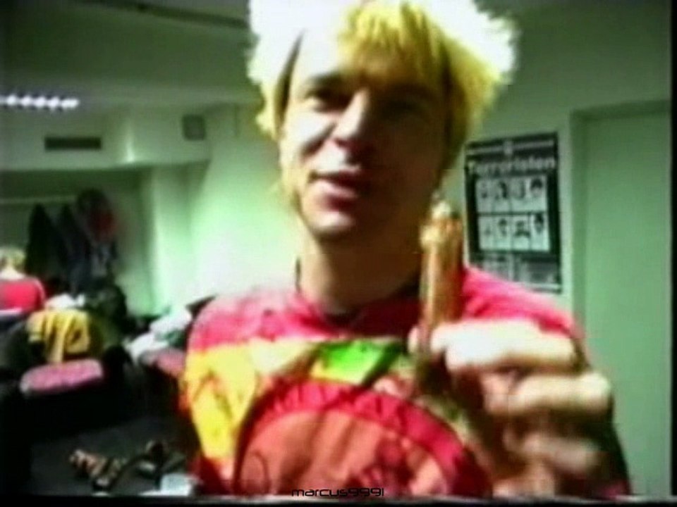 Die Toten Hosen - Im Auftrag des Herrn (DVD , Teil 1)