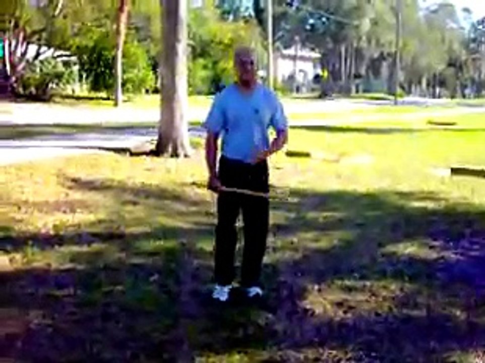 64 Stick Form