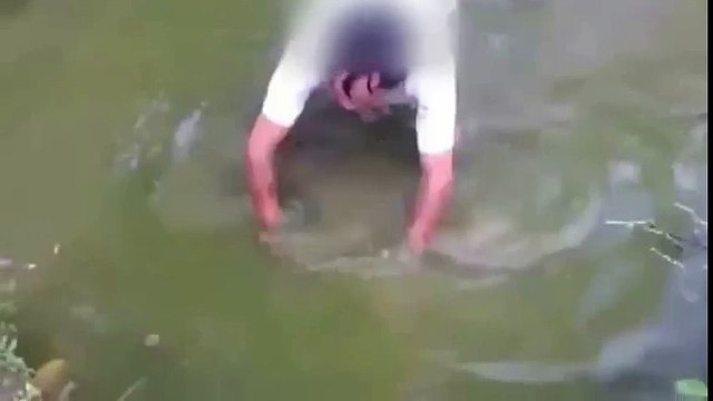 Браконьер, который не знал законы электропроводности