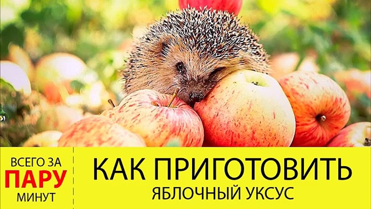 готовим