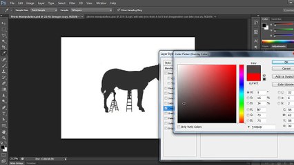 08.Adding a global shadow