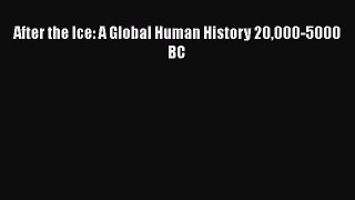 Download After the Ice: A Global Human History 20000-5000 BC Free Books