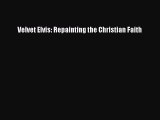 Read Velvet Elvis: Repainting the Christian Faith Ebook Free