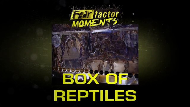 Fear Factor Moments | Box of Reptiles