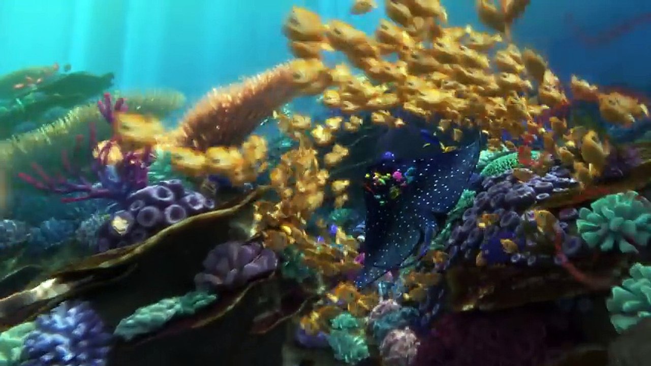 Exclusive! A Brand New ‘Finding Dory’ Trailer