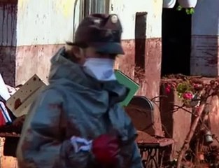 Giftig slib - stinkende dode vissen in de Donau