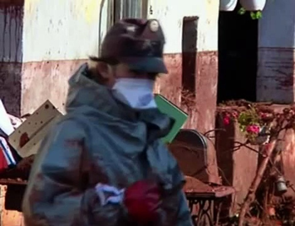 Giftig slib - stinkende dode vissen in de Donau